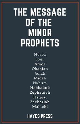 Book cover for The Message of the Minor Prophets