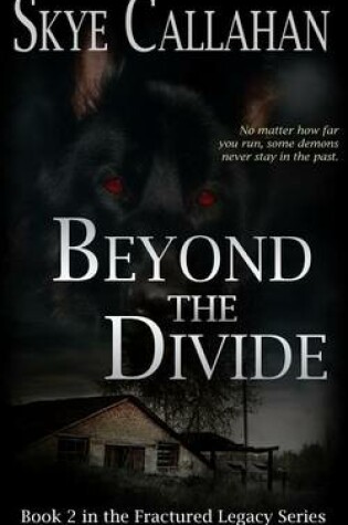 Cover of Beyond the Divide
