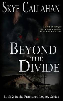 Book cover for Beyond the Divide