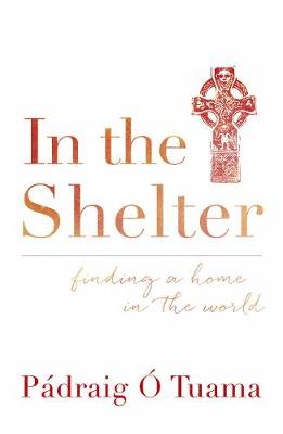 Book cover for In the Shelter