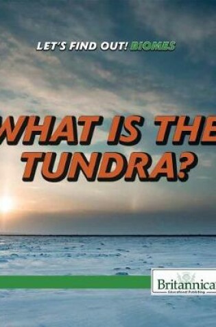 Cover of What Is the Tundra?
