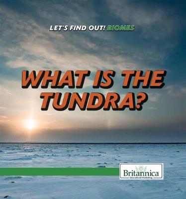 Book cover for What Is the Tundra?