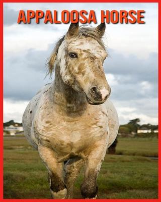 Book cover for Appaloosa Horse