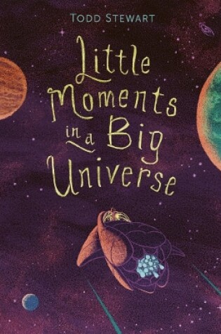 Cover of Little Moments in a Big Universe