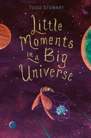 Cover of Little Moments in a Big Universe