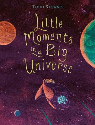 Cover of Little Moments in a Big Universe