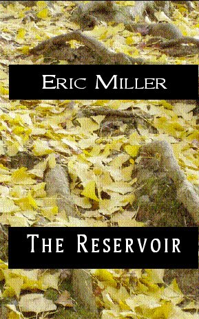 Book cover for The Reservoir