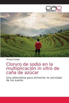 Book cover for Cloruro de sodio en la multiplicación in vitro de caña de azúcar