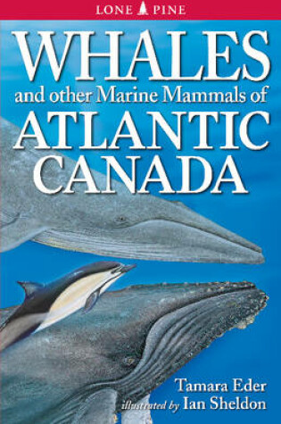 Cover of Whales and Other Marine Mammals of Atlantic Canada