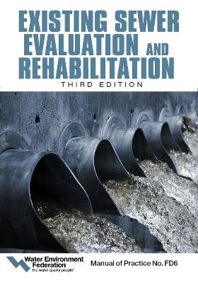 Book cover for Existing Sewer Evaluation and Rehabilitation