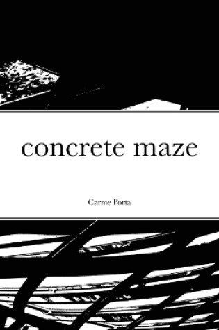 Cover of concrete maze