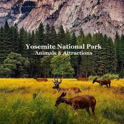 Book cover for Yosemite National Park Animals & Attractions Kids Book