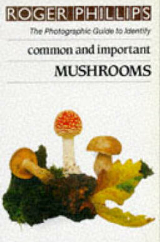 Cover of Common and Important Mushrooms