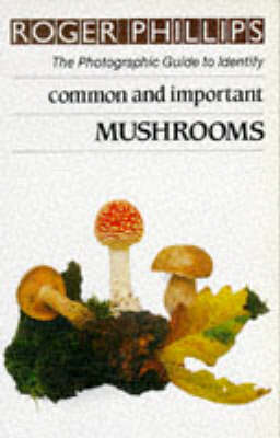 Book cover for Common and Important Mushrooms