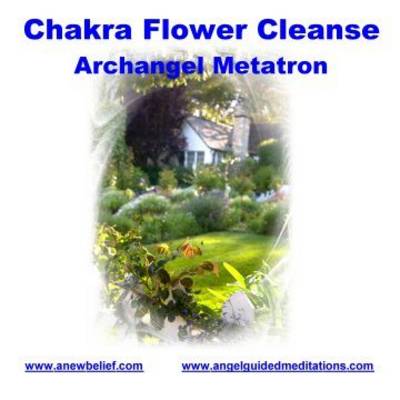 Book cover for Chakra Flower Cleanse- Archangel Metatron - Meditation