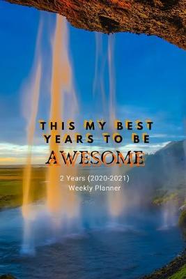 Book cover for This My Best Year To Be Awesome