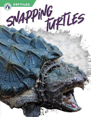 Cover of Snapping Turtles