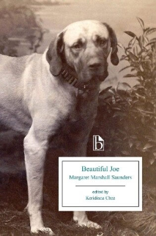 Cover of Beautiful Joe