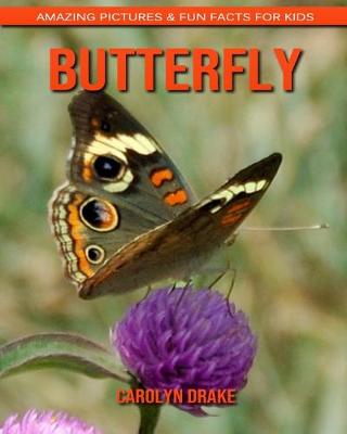 Book cover for Butterfly