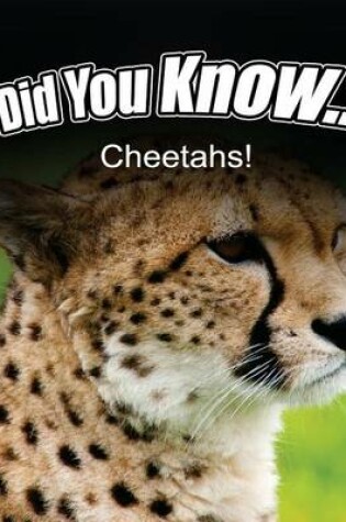 Cover of Cheetahs