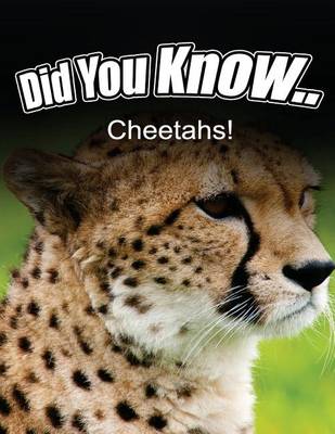 Book cover for Cheetahs