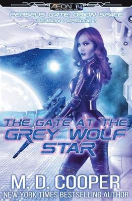 Book cover for The Gate at the Grey Wolf Star