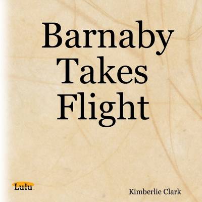Book cover for Barnaby Takes Flight