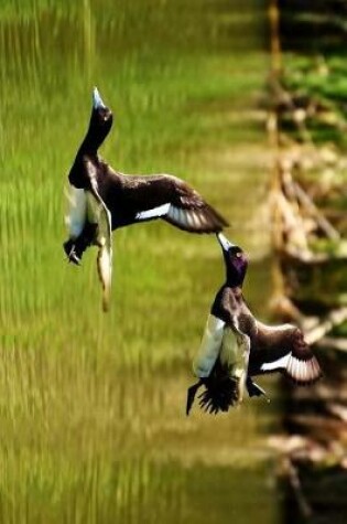 Cover of A Pair of Tufted Ducks in Flight Journal