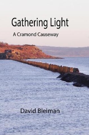 Cover of Gathering Light