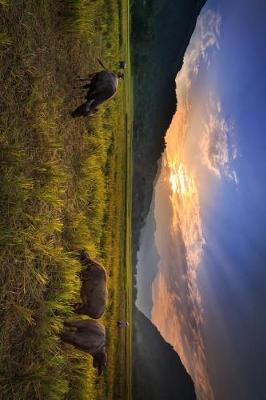 Book cover for Buffalo Grazing in a Rice Field Journal