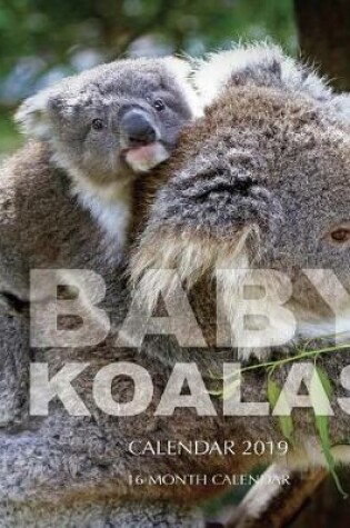 Cover of Baby Koalas Calendar 2019