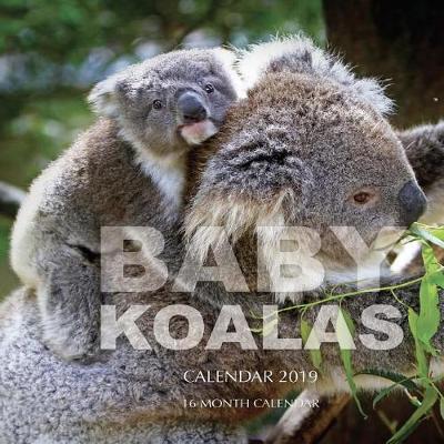 Book cover for Baby Koalas Calendar 2019