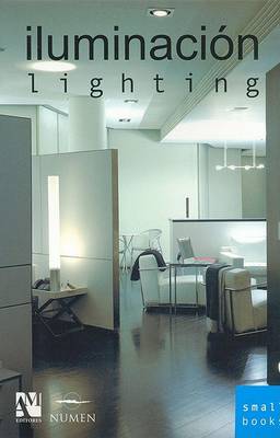 Book cover for Lighting