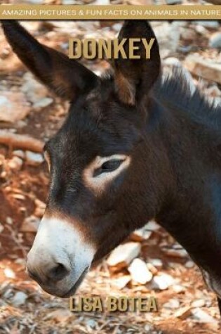 Cover of Donkey