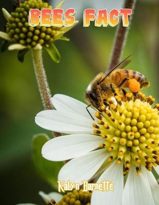 Book cover for Bees Fact