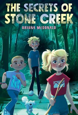 Book cover for The Secrets of Stone Creek