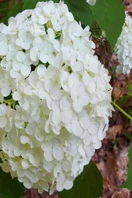 Cover of White Hydrangea Journal