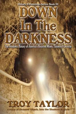 Book cover for Down in the Darkness