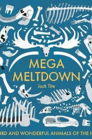 Cover of Mega Meltdown