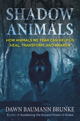 Book cover for Shadow Animals