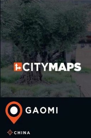 Cover of City Maps Gaomi China