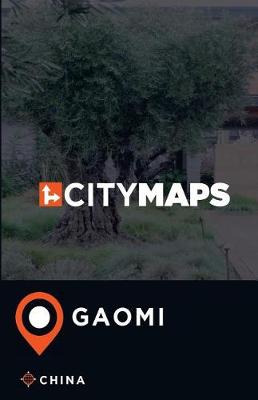 Book cover for City Maps Gaomi China