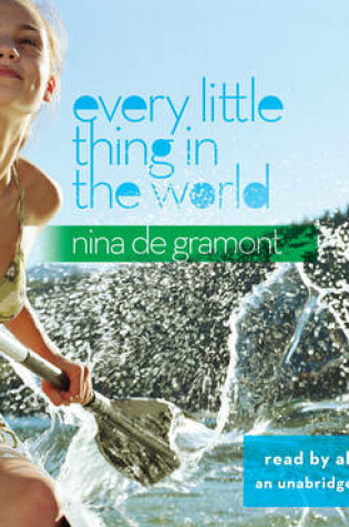 Cover of Every Little Thing (Lib)(CD)