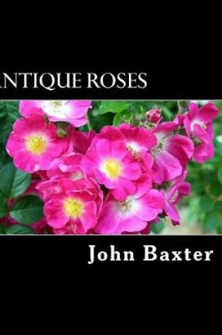 Cover of Antique Roses