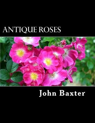 Book cover for Antique Roses