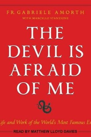 Cover of The Devil Is Afraid of Me
