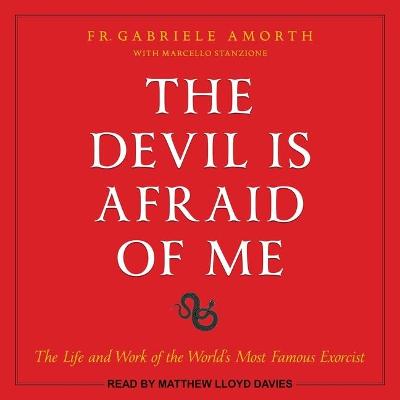 Book cover for The Devil Is Afraid of Me