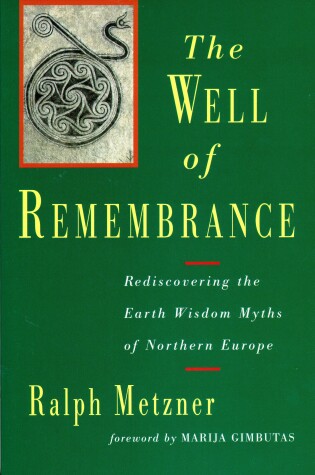 Cover of Well of Remembrance