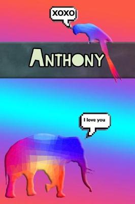 Book cover for Colorful Jungle Anthony