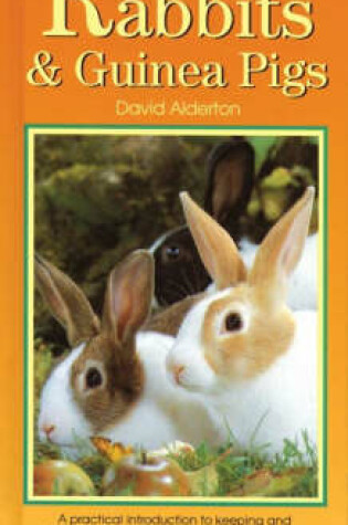 Cover of Interpet Guide to Rabbits and Guinea Pigs